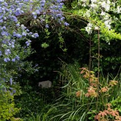 Agriframes Elegance Fine Arch 11 Agriframes Elegance Fine Arch