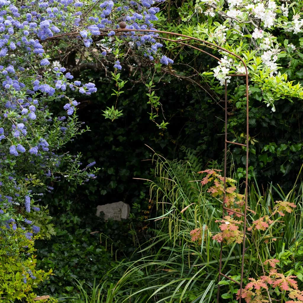 Agriframes Elegance Fine Arch 6 Agriframes Elegance Fine Arch