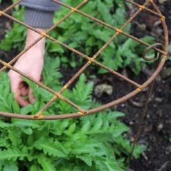 Agriframes Elegance Round Grow Through