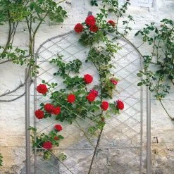 Agriframes Elegance Trellis - Gothic