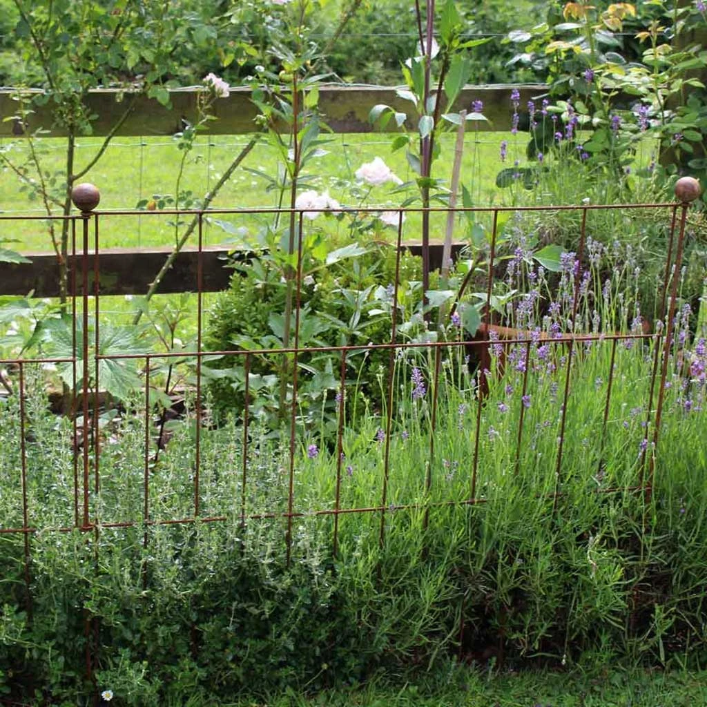 Agriframes Elegance Pea & Pest Fence STYLES & COLLECTIONS 6 Agriframes Elegance Pea & Pest Fence STYLES & COLLECTIONS