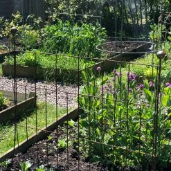 Agriframes Elegance Pea & Pest Fence STYLES & COLLECTIONS 18 Agriframes Elegance Pea & Pest Fence STYLES & COLLECTIONS