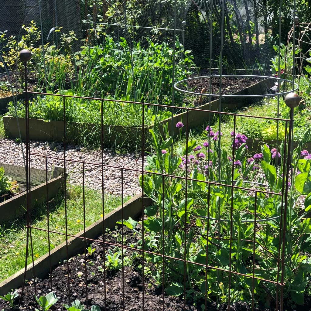 Agriframes Elegance Pea & Pest Fence STYLES & COLLECTIONS 10 Agriframes Elegance Pea & Pest Fence STYLES & COLLECTIONS