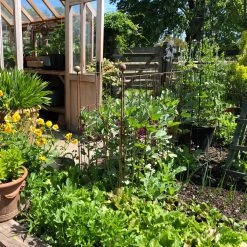 Agriframes Elegance Pea & Pest Fence STYLES & COLLECTIONS 19 Agriframes Elegance Pea & Pest Fence STYLES & COLLECTIONS