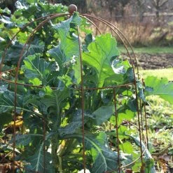 Agriframes Elegance Bell Cloche STYLES & COLLECTIONS