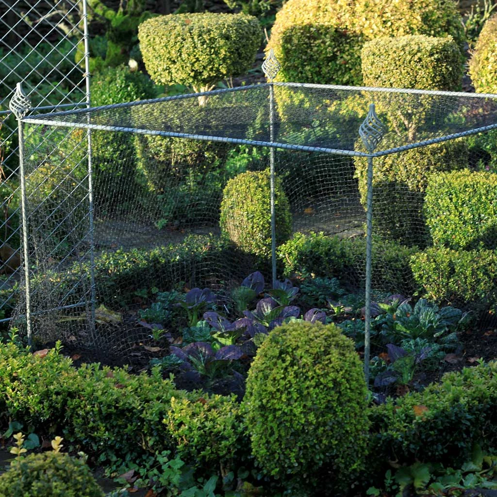 Agriframes Elegance Crop Cage 6 Agriframes Elegance Crop Cage