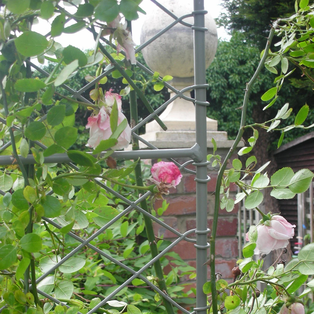 Agriframes ARCHES Elegance Door Arch 5 Agriframes ARCHES Elegance Door Arch