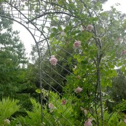 Agriframes ARCHES Elegance Door Arch