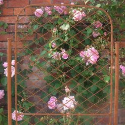 Agriframes Elegance Trellis - Monet