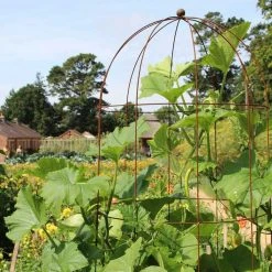 Agriframes STYLES & COLLECTIONS Elegance Runner Bean Tower