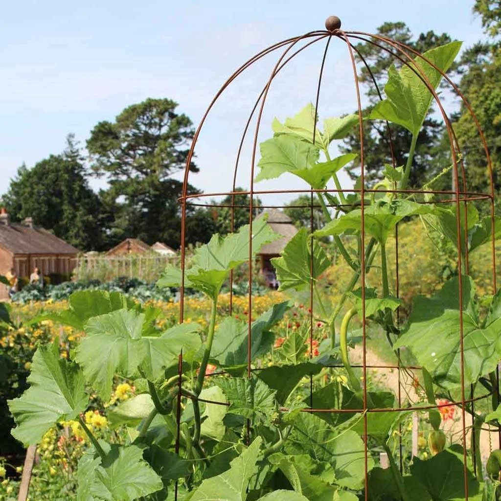 Agriframes STYLES & COLLECTIONS Elegance Runner Bean Tower 3 Agriframes STYLES & COLLECTIONS Elegance Runner Bean Tower