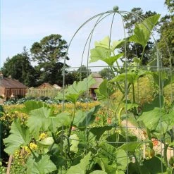 Agriframes STYLES & COLLECTIONS Elegance Runner Bean Tower 17 Agriframes STYLES & COLLECTIONS Elegance Runner Bean Tower