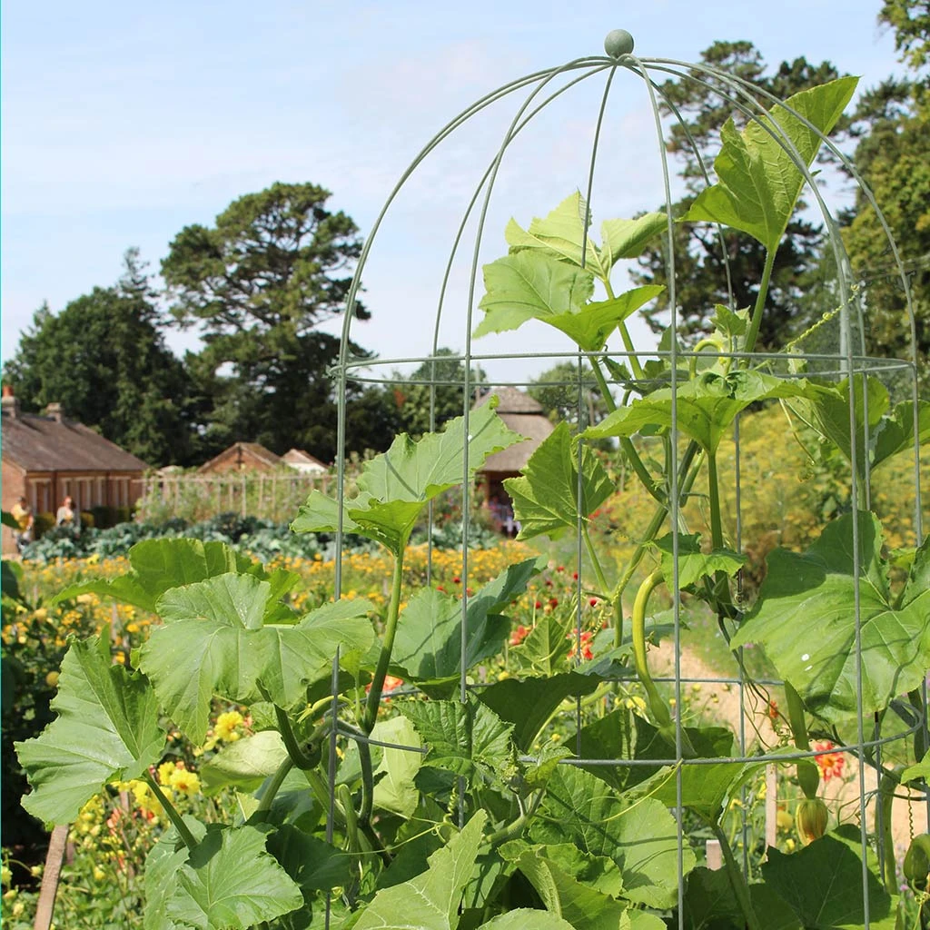 Agriframes STYLES & COLLECTIONS Elegance Runner Bean Tower 10 Agriframes STYLES & COLLECTIONS Elegance Runner Bean Tower