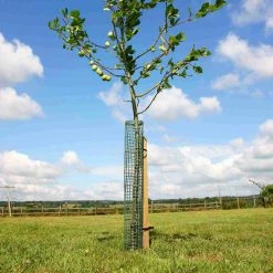 Agriframes Flexi Mesh Treeguard