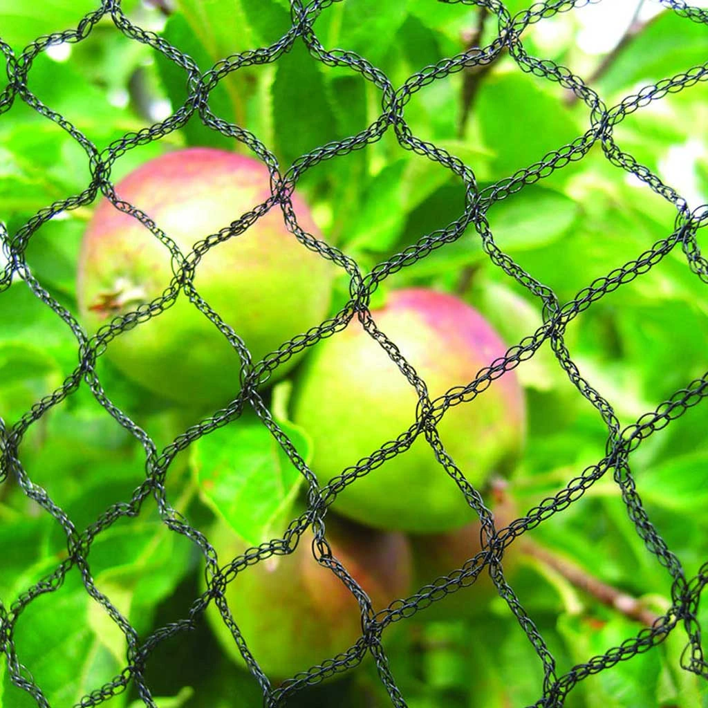 Agriframes Fruit & Pond Netting 4 Agriframes Fruit & Pond Netting
