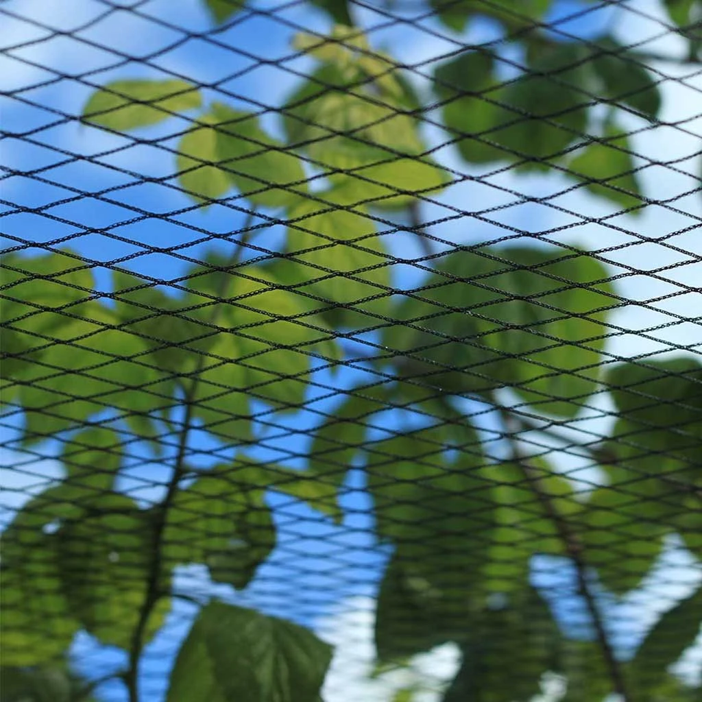Agriframes Fruit Cage Roof Net 4 Agriframes Fruit Cage Roof Net