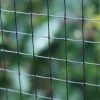 Agriframes Fruit Cage Side Net STYLES & COLLECTIONS 2 Agriframes Fruit Cage Side Net STYLES & COLLECTIONS
