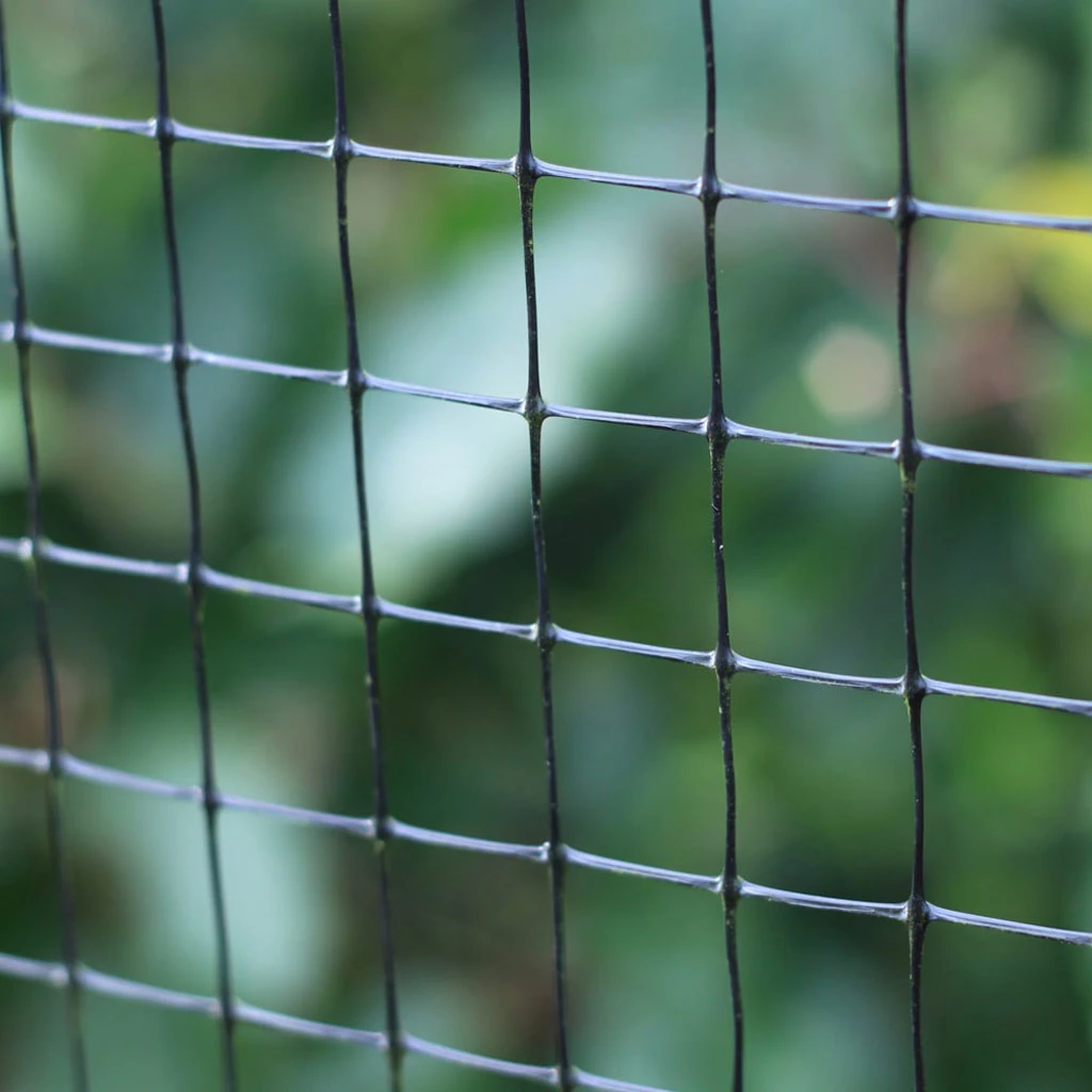 Agriframes Fruit Cage Side Net STYLES & COLLECTIONS 3 Agriframes Fruit Cage Side Net STYLES & COLLECTIONS