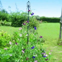 Agriframes Garden Maypole