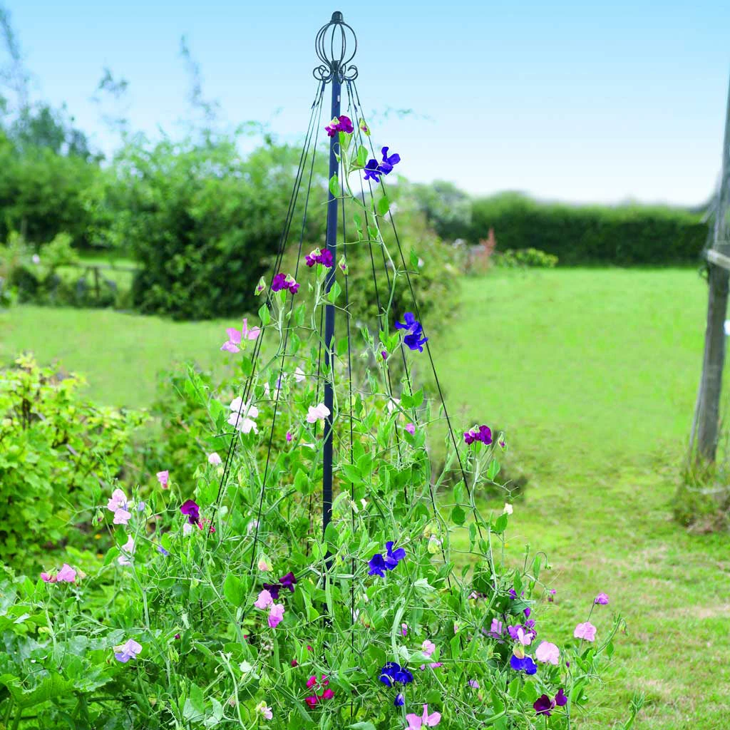 Agriframes Garden Maypole 4 Agriframes Garden Maypole