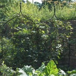 Agriframes SCREENS Gothic Screen 9 Agriframes SCREENS Gothic Screen