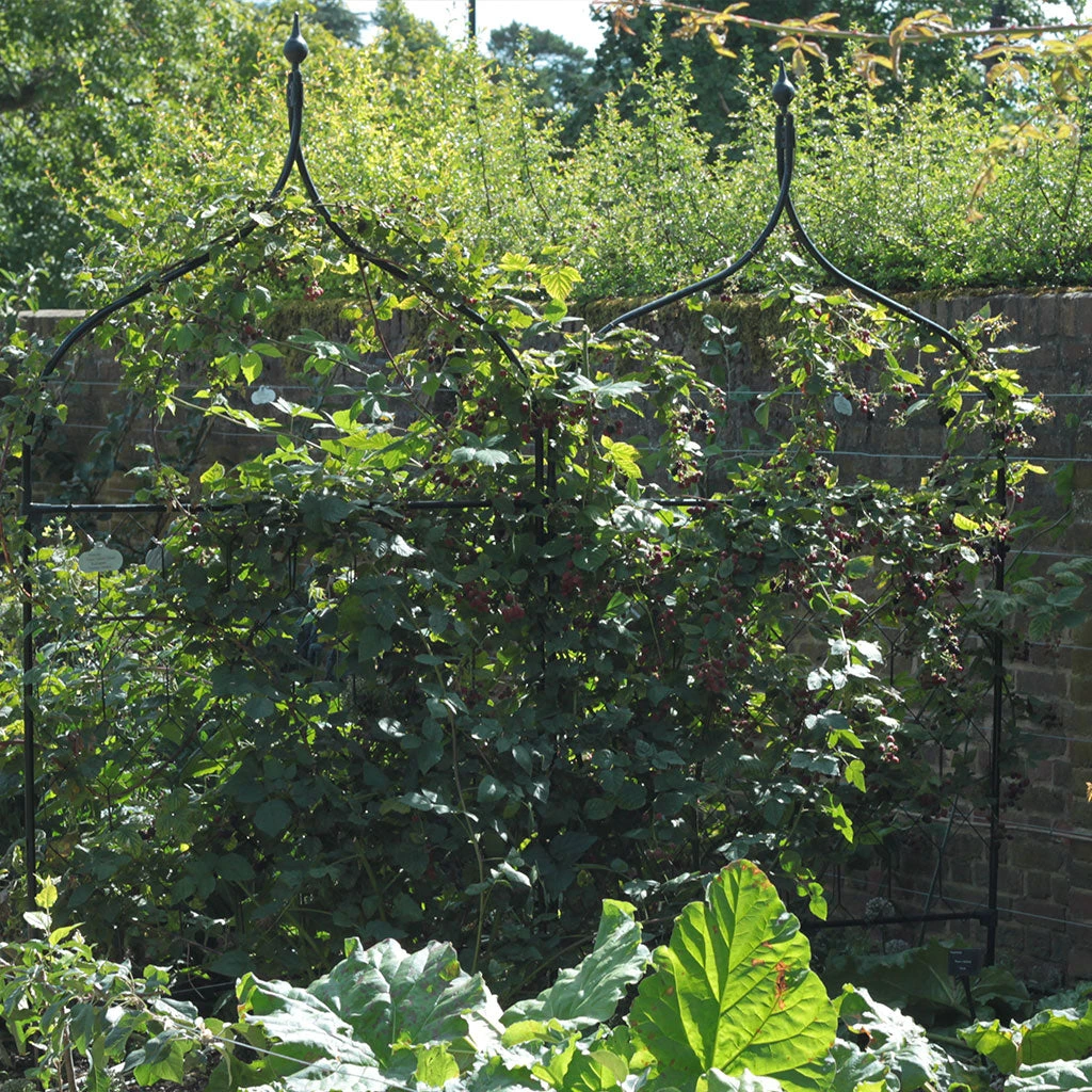 Agriframes SCREENS Gothic Screen 5 Agriframes SCREENS Gothic Screen