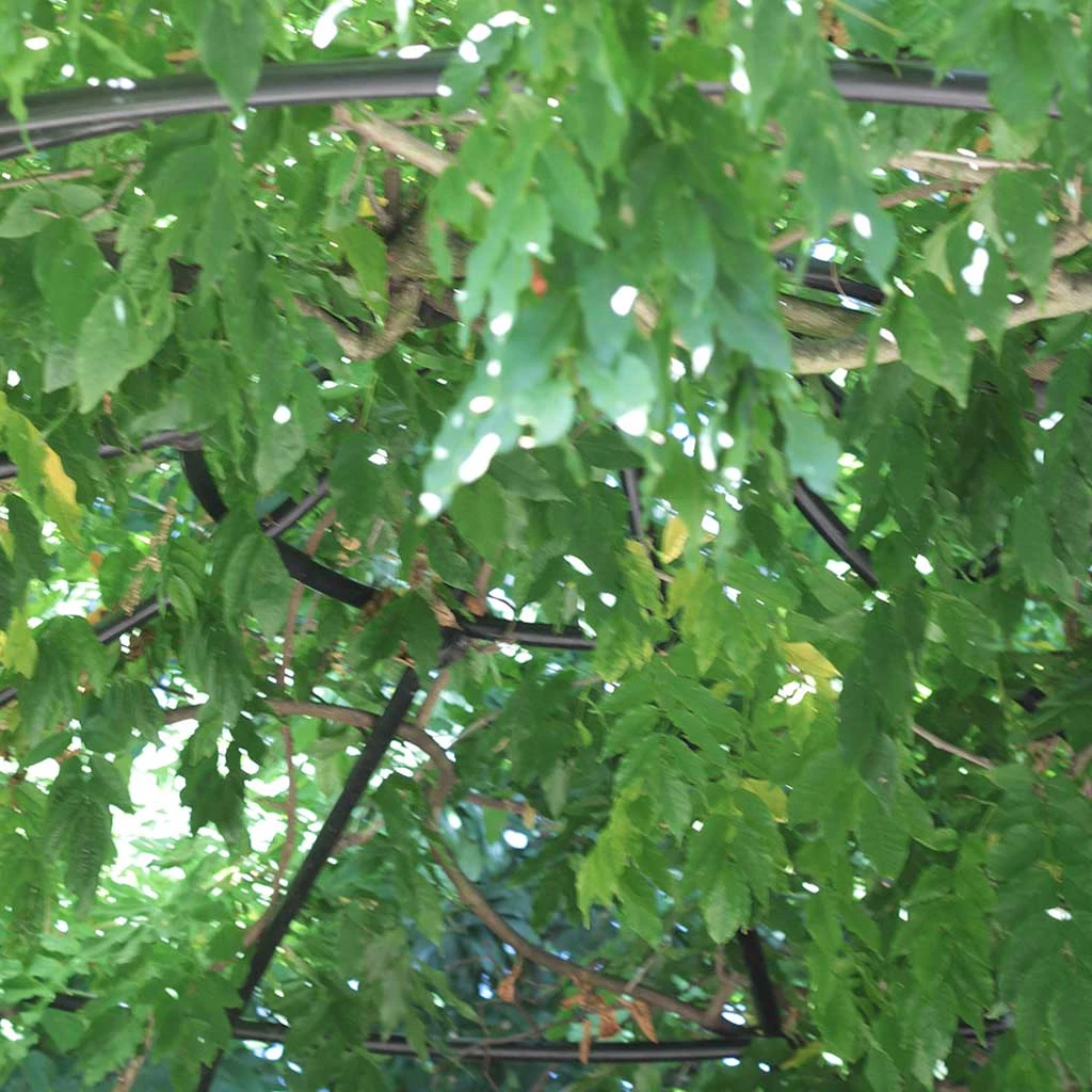 Agriframes Gothic Arbour 5 Agriframes Gothic Arbour