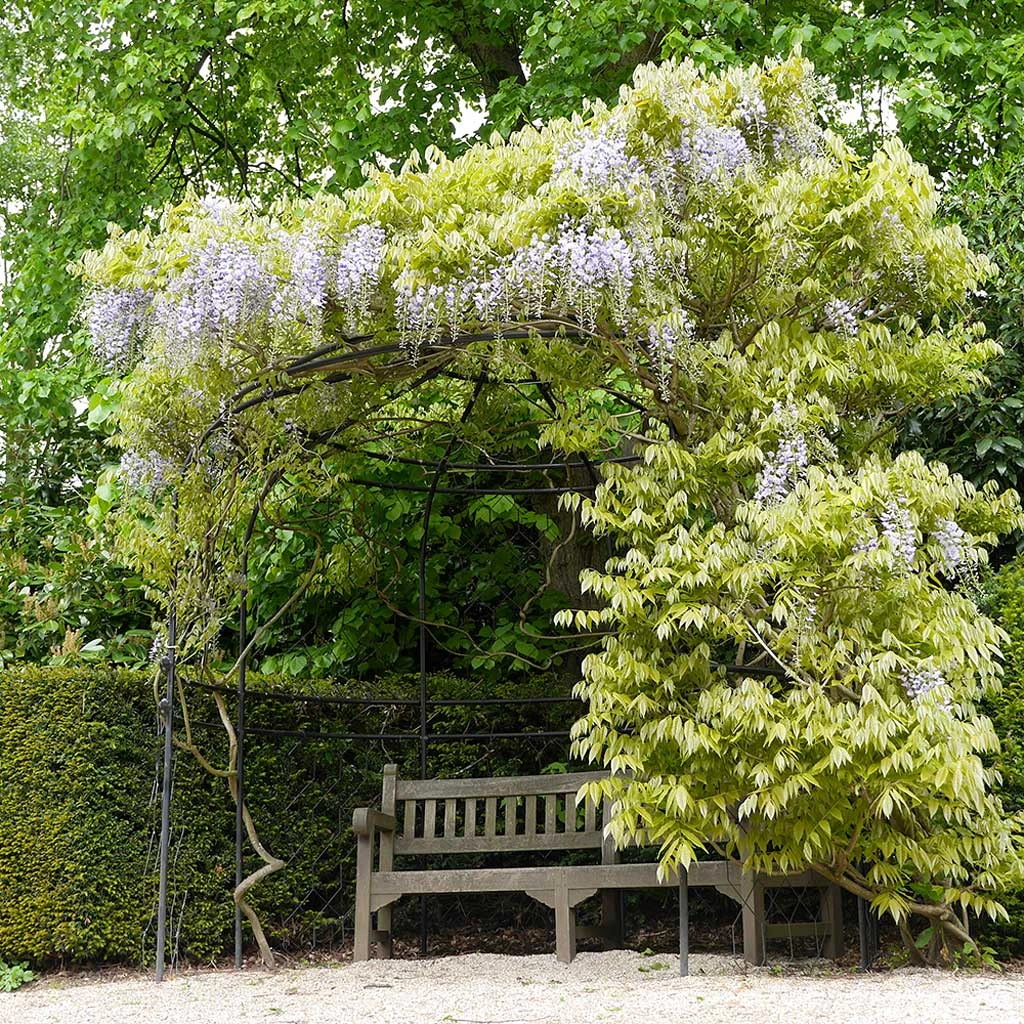 Agriframes Gothic Arbour 3 Agriframes Gothic Arbour