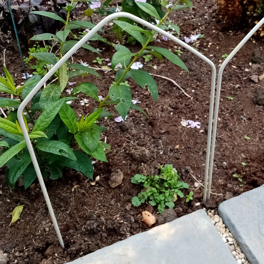 Agriframes Border Edging Hoops (Pk Of 6) 7 Agriframes Border Edging Hoops (Pk Of 6)