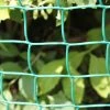 Agriframes Green Plastic Mesh STYLES & COLLECTIONS 2 Agriframes Green Plastic Mesh STYLES & COLLECTIONS
