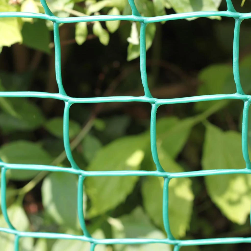 Agriframes Green Plastic Mesh STYLES & COLLECTIONS 3 Agriframes Green Plastic Mesh STYLES & COLLECTIONS