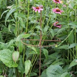 Agriframes Quadrant Grow Through Plant Support STYLES & COLLECTIONS