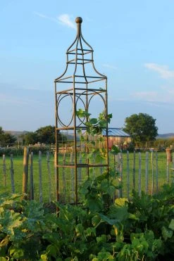 Agriframes STYLES & COLLECTIONS Big Ben Plant Frame 10 Agriframes STYLES & COLLECTIONS Big Ben Plant Frame