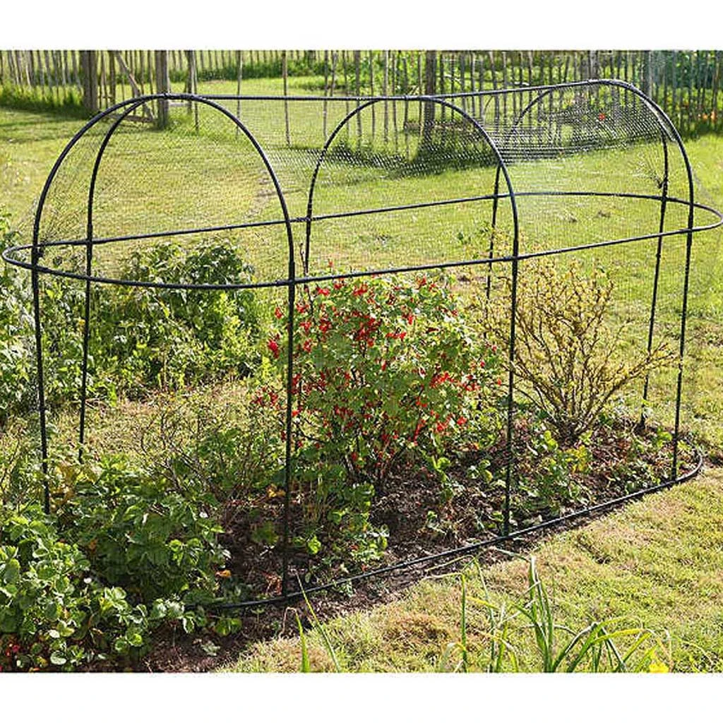 Agriframes Steel Long Fruit Cage 3 Agriframes Steel Long Fruit Cage