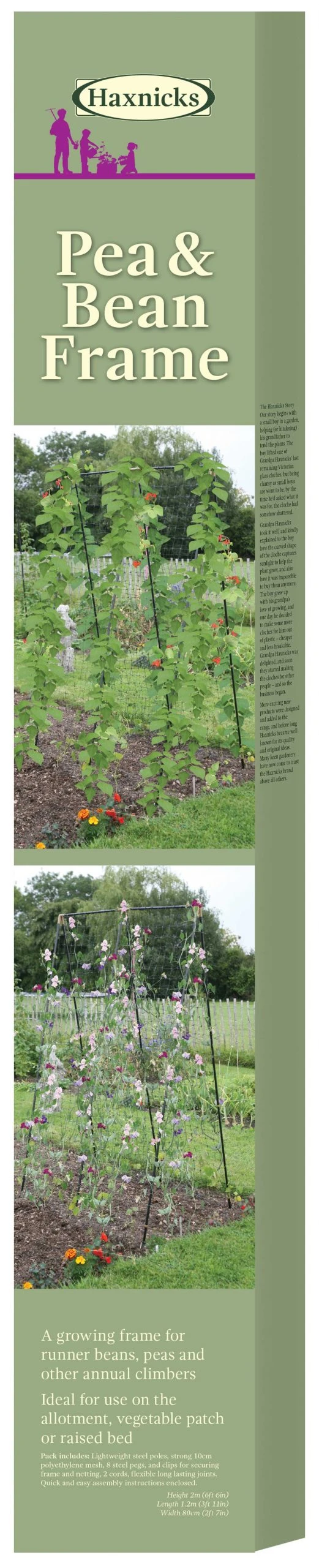 Agriframes STYLES & COLLECTIONS Steel Pea & Bean Frame 4 Agriframes STYLES & COLLECTIONS Steel Pea & Bean Frame