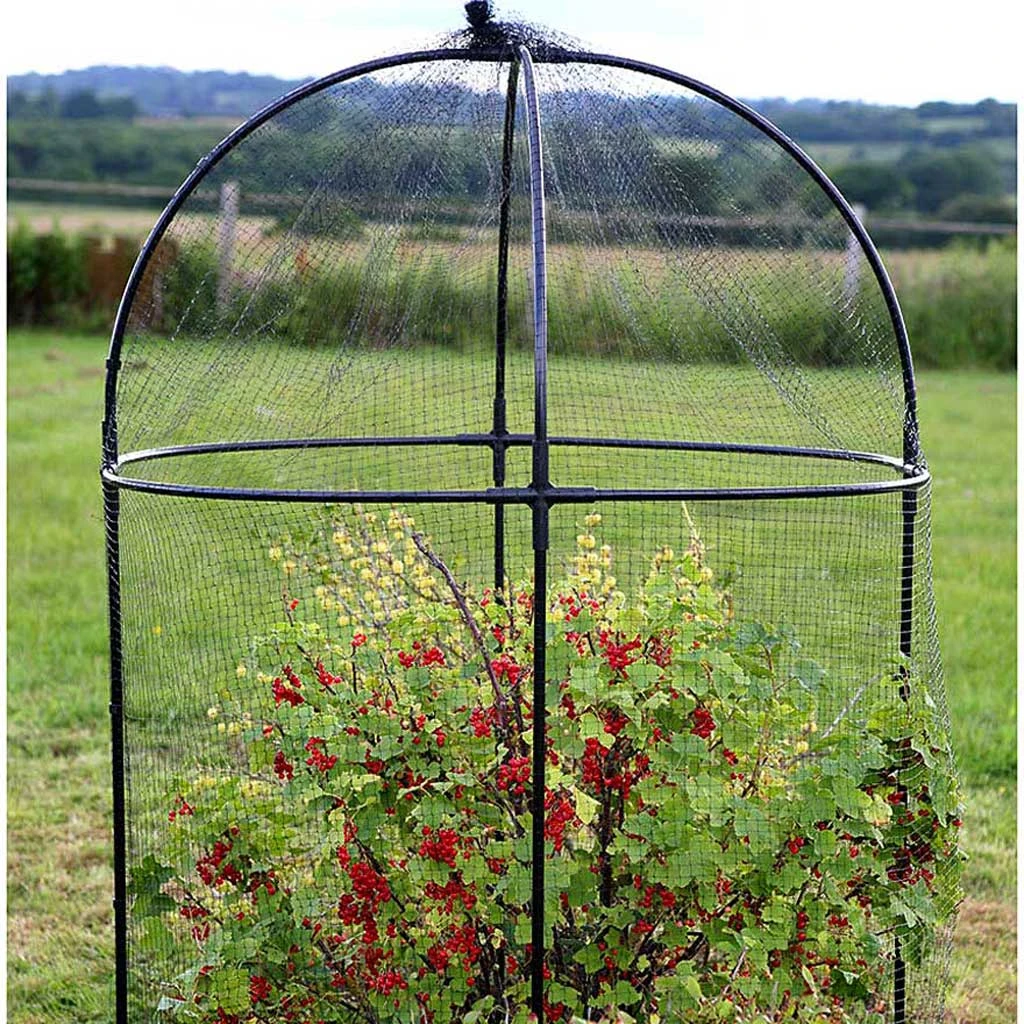 Agriframes Steel Round Fruit Cage STYLES & COLLECTIONS 3 Agriframes Steel Round Fruit Cage STYLES & COLLECTIONS