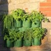 Agriframes Herb Planter
