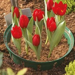 Agriframes Bulb Baskets STYLES & COLLECTIONS