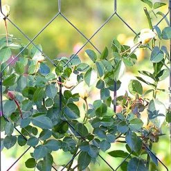 Agriframes Byzantine Screen