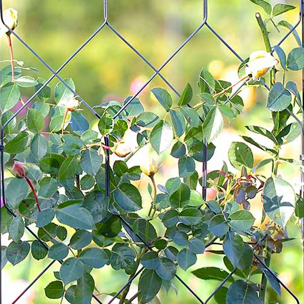 Agriframes Byzantine Screen 4 Agriframes Byzantine Screen