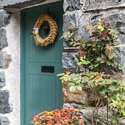 Agriframes Lattice Wall Trellis STYLES & COLLECTIONS