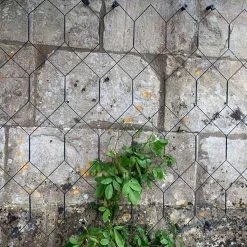 Agriframes Lattice Wall Trellis STYLES & COLLECTIONS 11 Agriframes Lattice Wall Trellis STYLES & COLLECTIONS