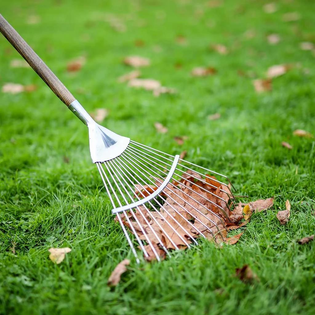 Agriframes Vintage Ash Leaf Rake STYLES & COLLECTIONS 3 Agriframes Vintage Ash Leaf Rake STYLES & COLLECTIONS