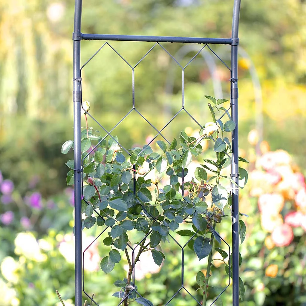 Agriframes Gothic Arch STYLES & COLLECTIONS 13 Agriframes Gothic Arch STYLES & COLLECTIONS