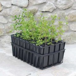 Deals Agriframes Store 40 Agriframes Maxi Rootrainers