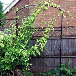 Agriframes Monet Screen