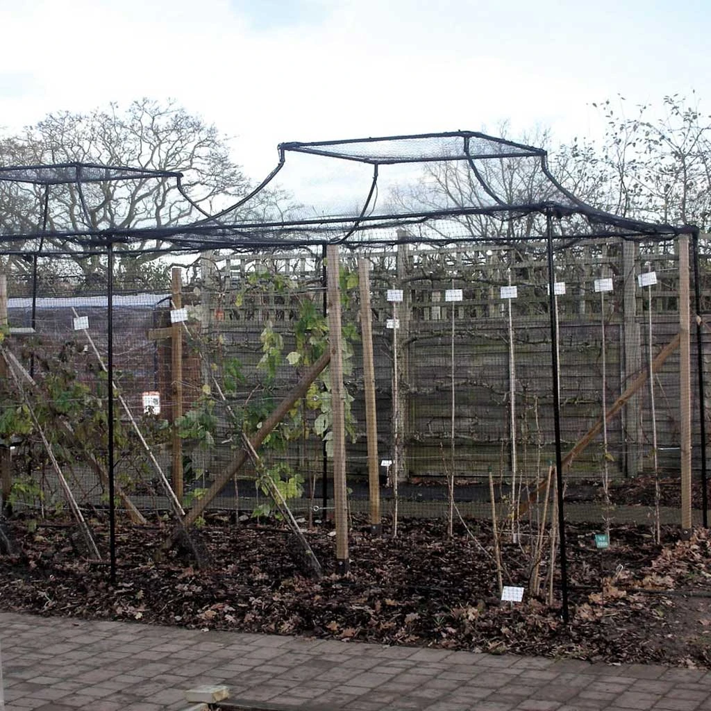 Agriframes Monet Roof Fruit Cage 4 Agriframes Monet Roof Fruit Cage