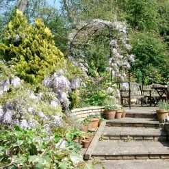 Agriframes Monet Garden Arch - Landscape 9 Agriframes Monet Garden Arch - Landscape