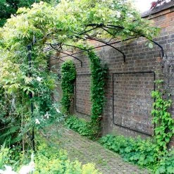 Agriframes ARCHED PERGOLAS Monet Wall Pergola 11 Agriframes ARCHED PERGOLAS Monet Wall Pergola