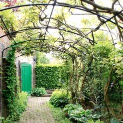Agriframes ARCHED PERGOLAS Monet Wall Pergola